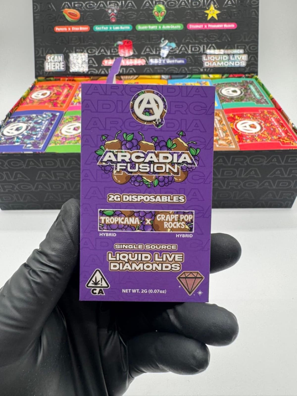 Arcadia Fusion Tropicana x Grape Pop Rocks box in hand